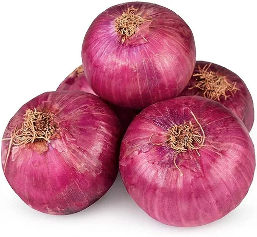 Onion